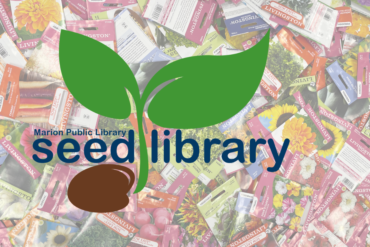 seed packets and clip art plant with seed