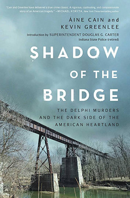 shadow of the bridge book cover