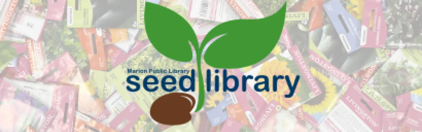 plant with a seed